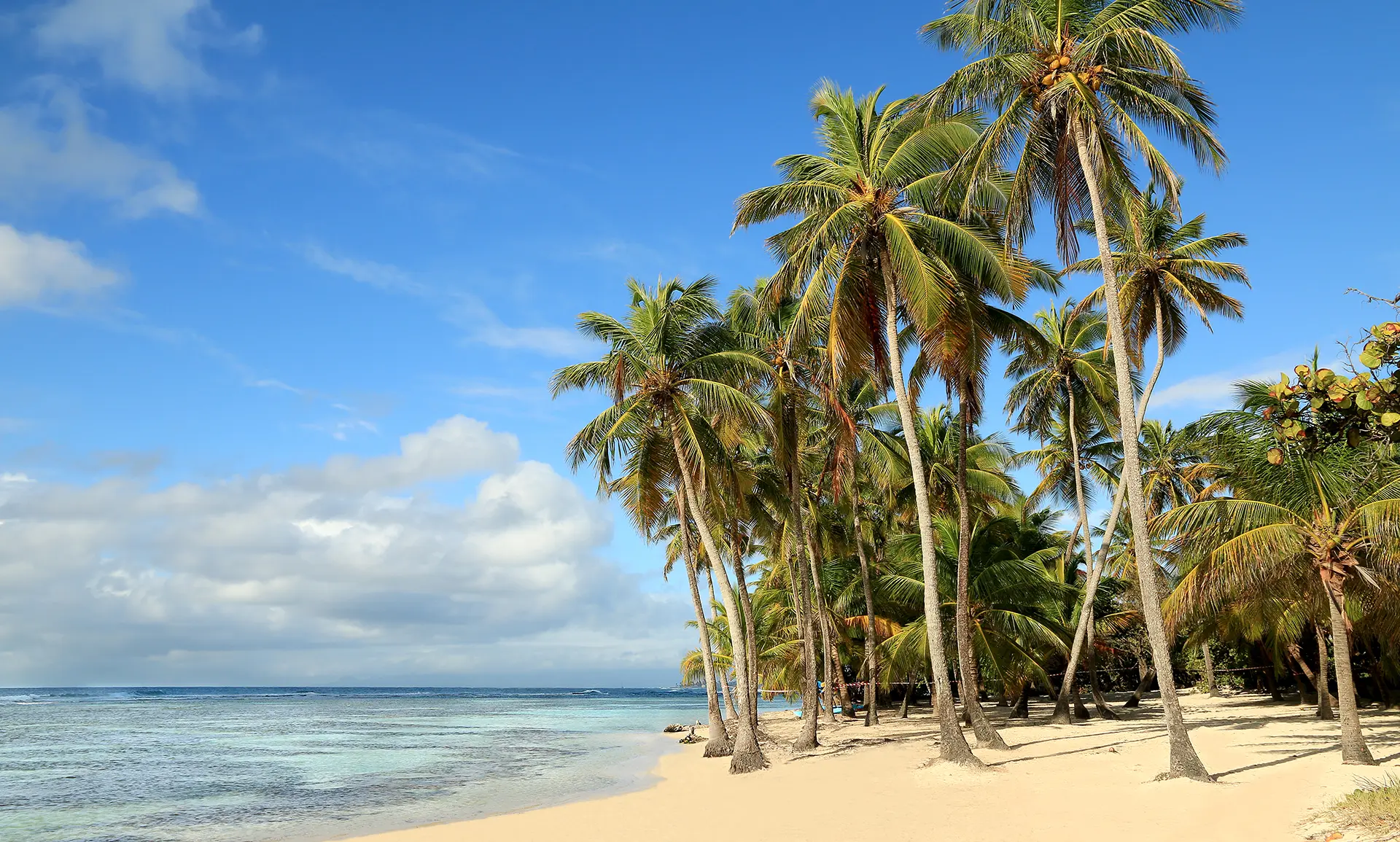 Union Island, Mayreau and the Tobago Cays