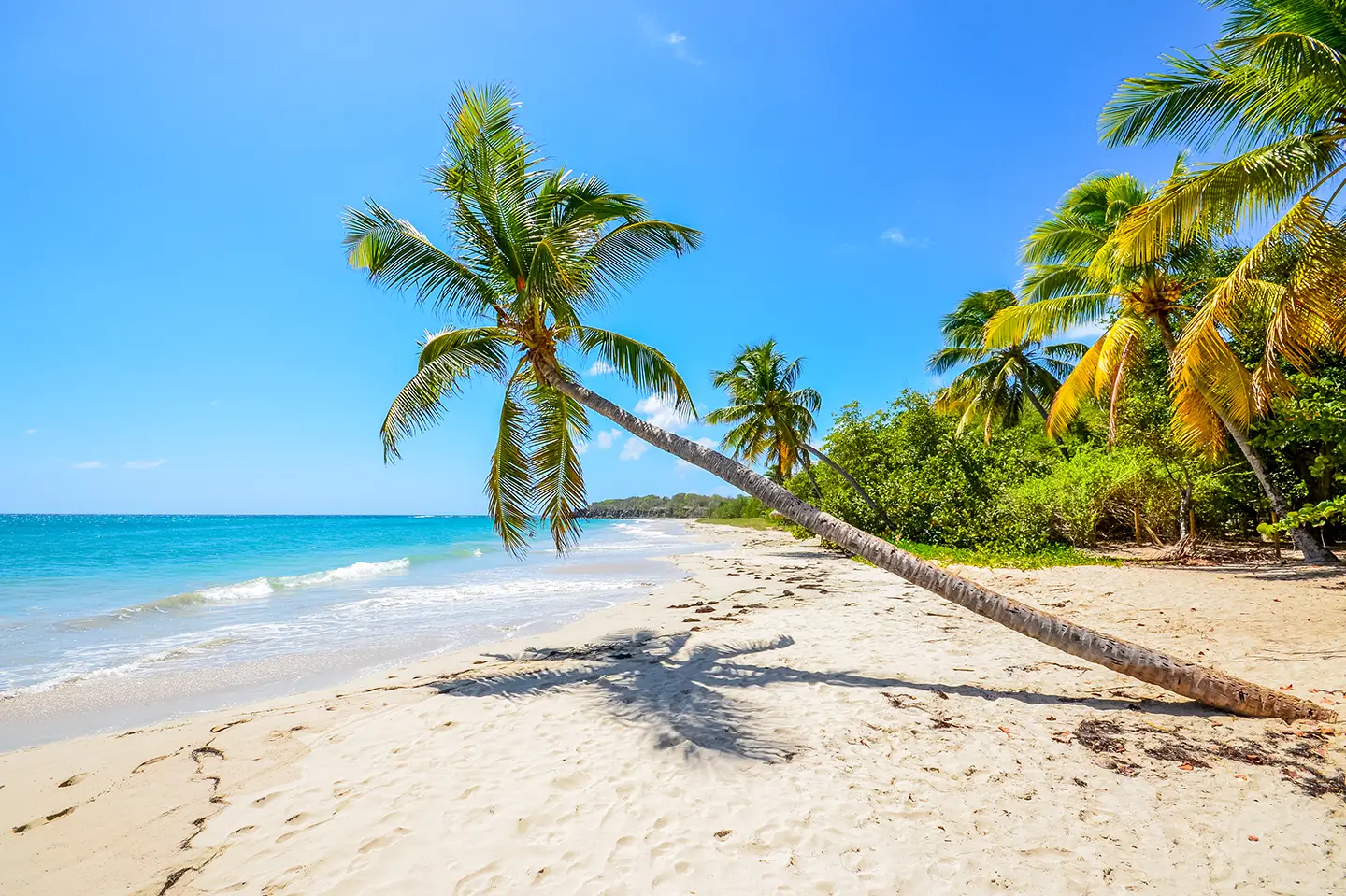 Martinique sailing routes