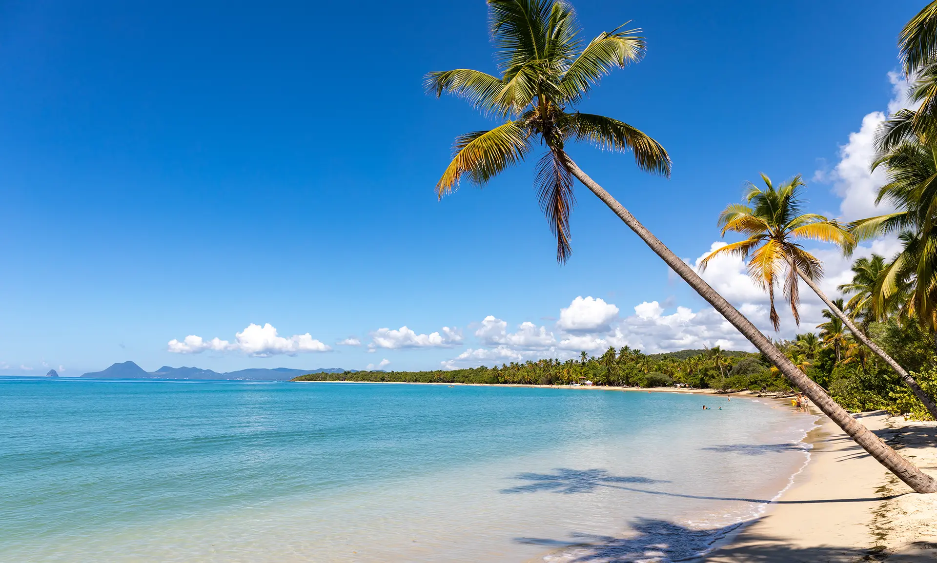 Fort-de-France Bay and Saint-Pierre