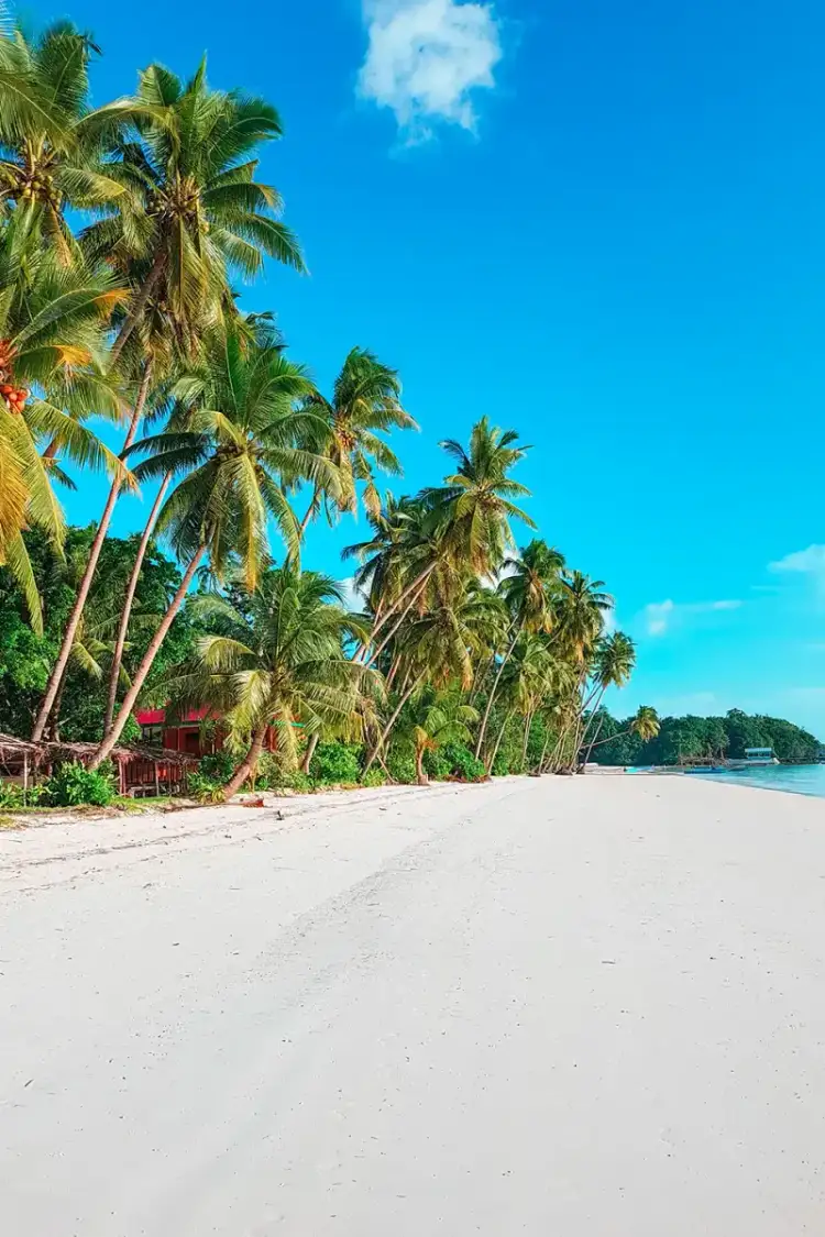 Colorful Caribbean coastal town with boats docked by the shore