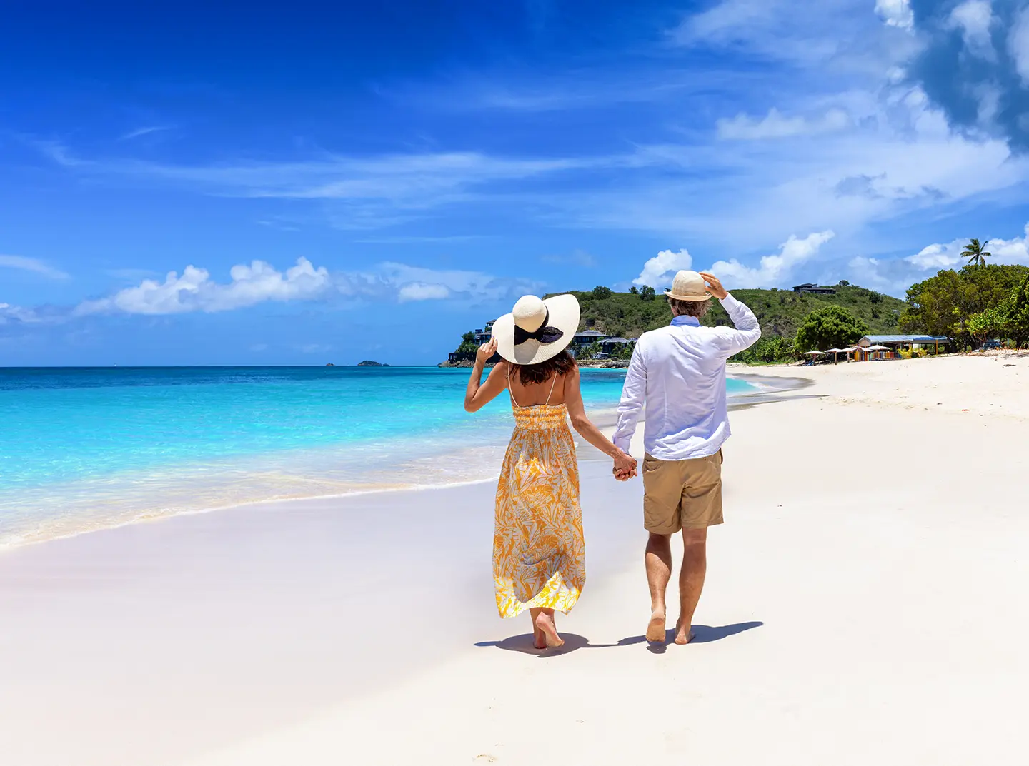 Secluded golden beach lined with palm trees in the Caribbean