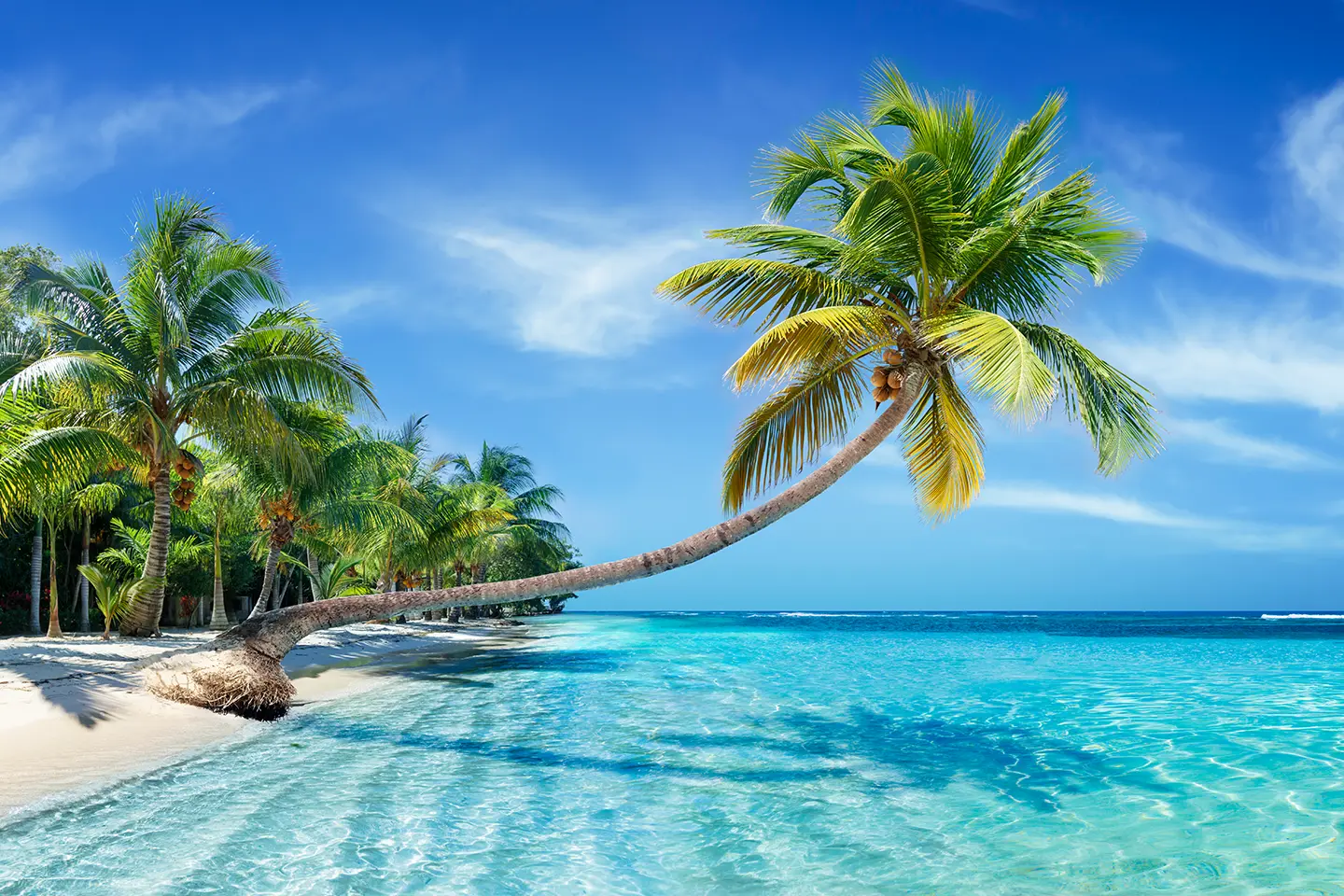 Request a Quote Banner