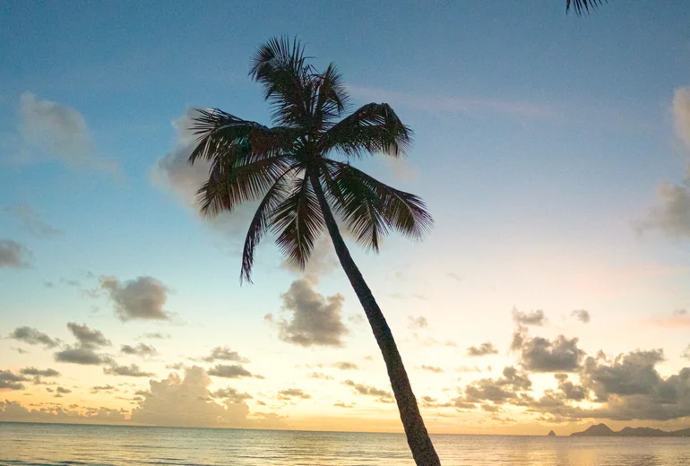 Tobago Cays beach