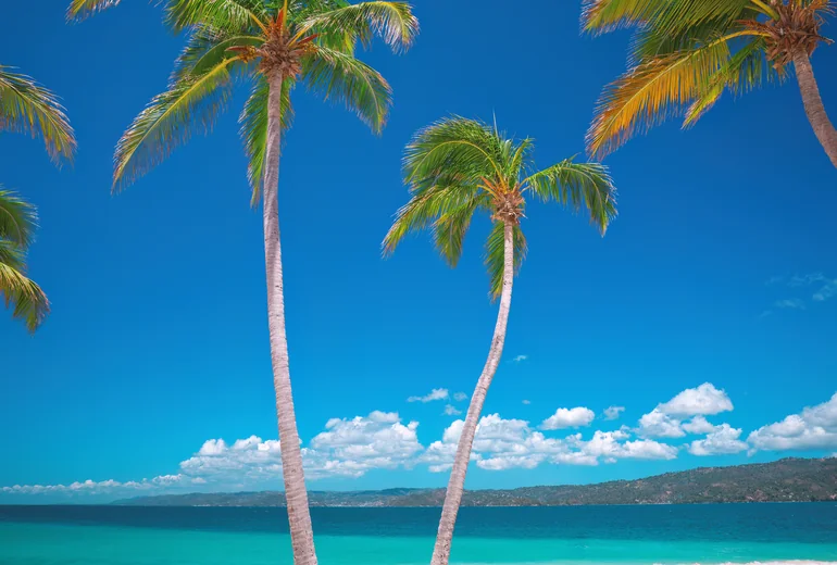 Caribbean charter chef