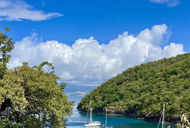 Caribbean charter route planning