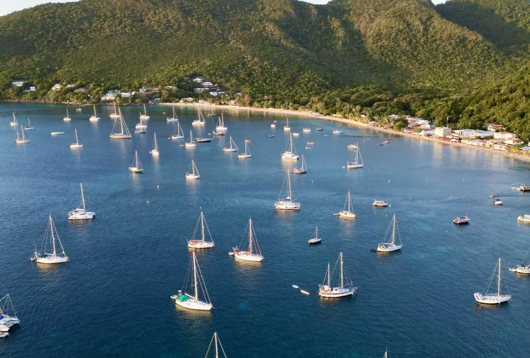 Anchored fleet at sundown