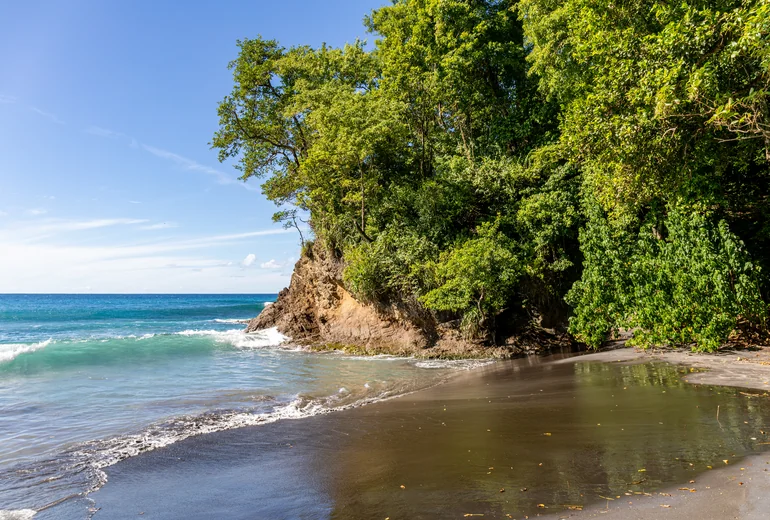 Secluded Caribbean cove with vegetation