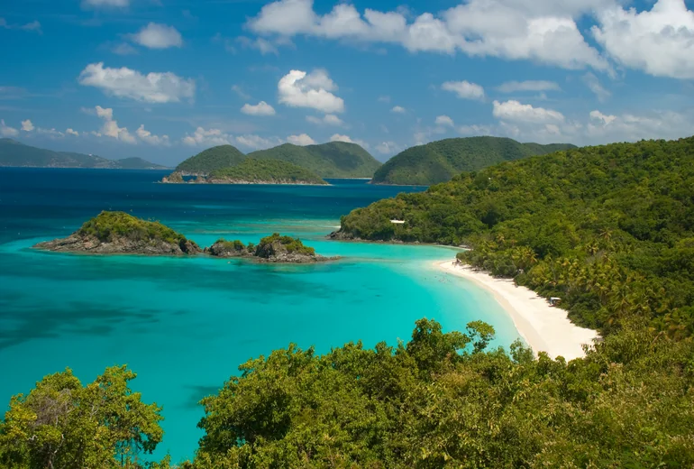 BVI beach with palm trees and turquoise water at midday