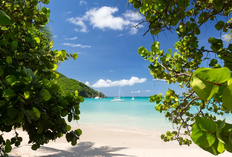 Catamarans at anchor on a sunny Caribbean afternoon
