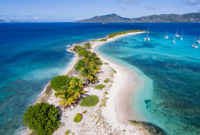 Aerial of Sandy Island palm islet near Carriacou with yachts off turquoise shallows
