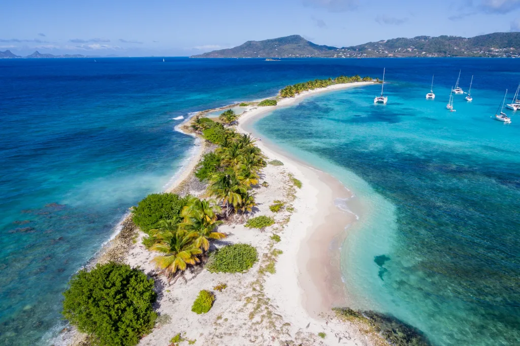 Aerial of Sandy Island palm islet near Carriacou with yachts anchored off turquoise shallows