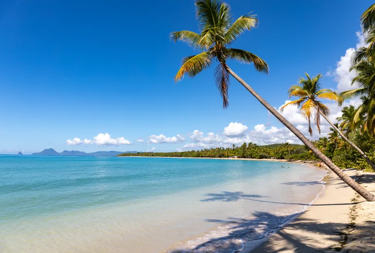 Leaning coconut palms over a white sand beach and calm turquoise sea