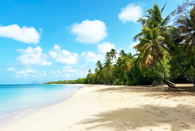 Palm-fringed white sand beach with calm turquoise sea and a distant islet