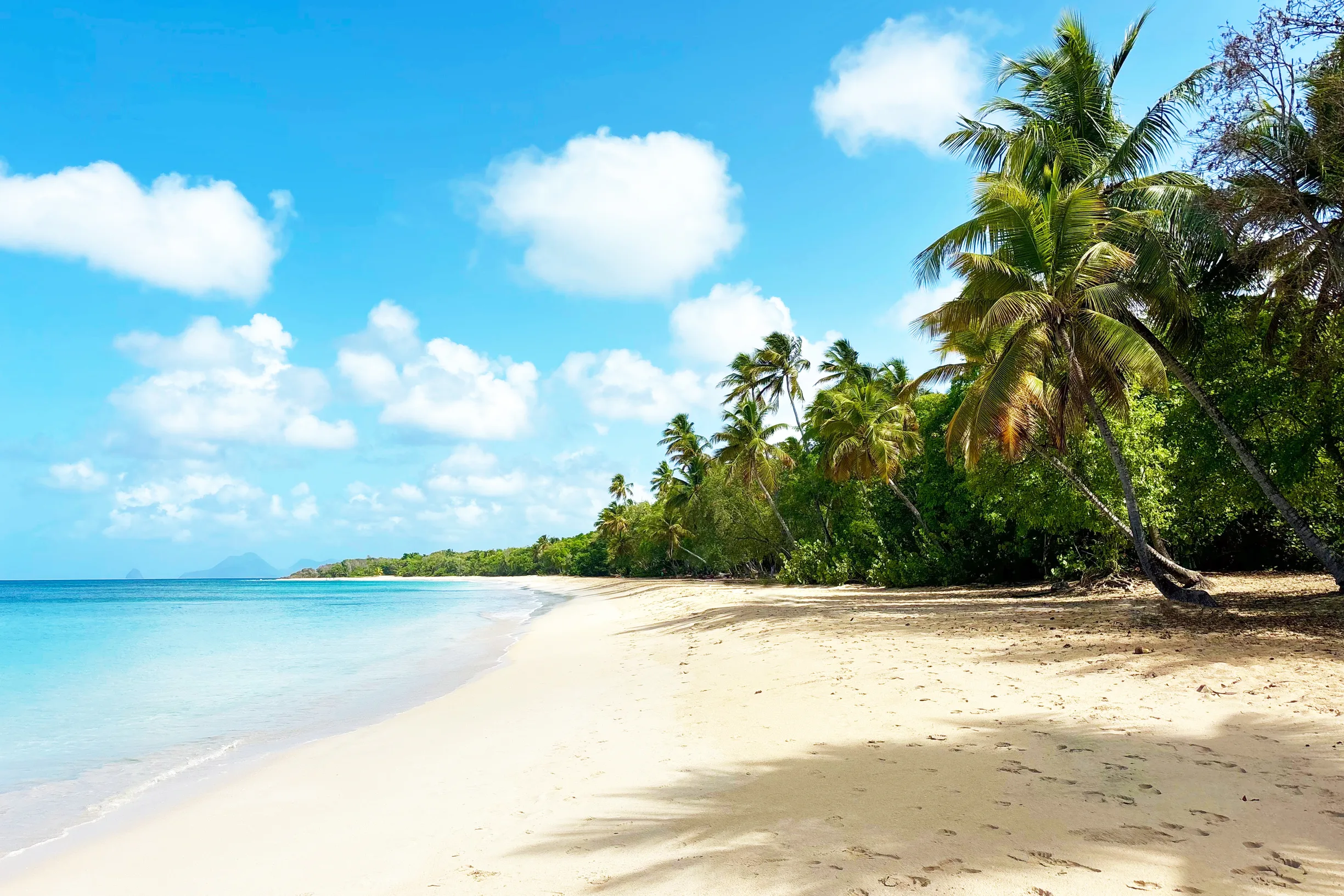 Palm-fringed white sand beach with calm turquoise sea and distant islet